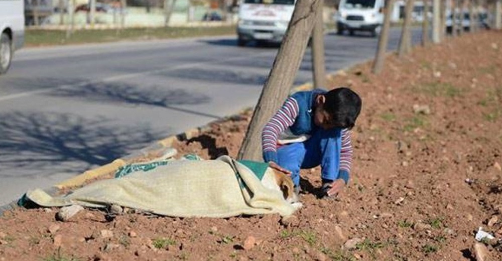 Captan a un niño que se niega a dejar solo a un perrito que yacía herido en la carretera